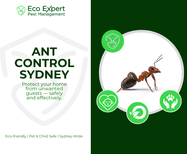 Ant Control Sydney