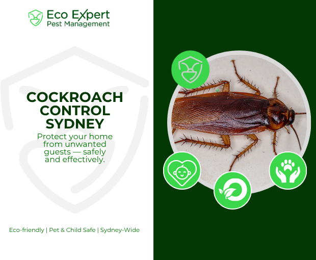 Cockroach Control Sydney