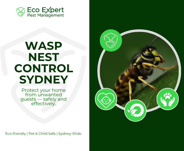 Wasp Nest Control Sydney