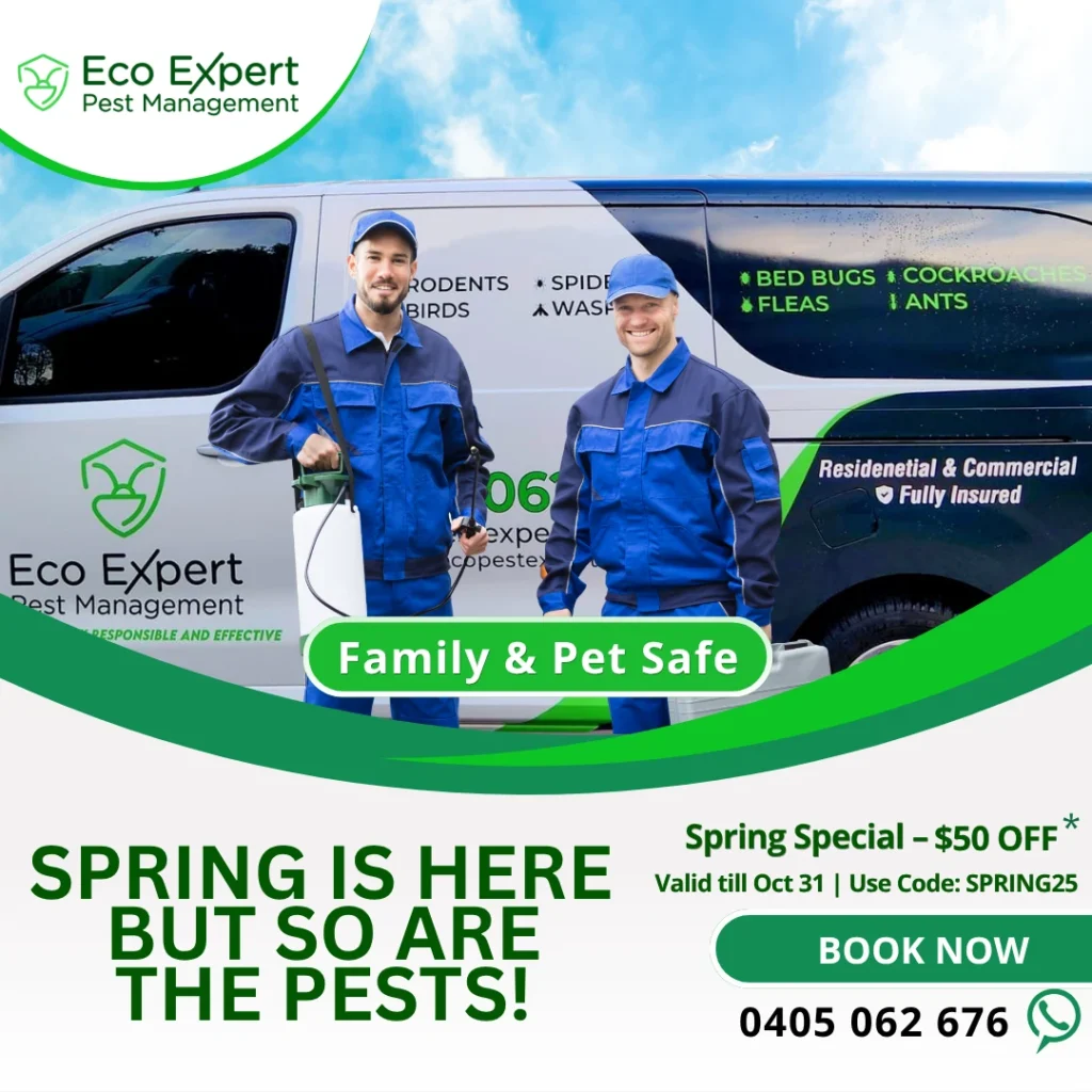 pest control,Eco Expert,Eco,pest solutions,pest,environmentally,Pest Inspection,Pest Identification,Residential Pest Control,Commercial Pest Management,Environmentally Responsible Treatments